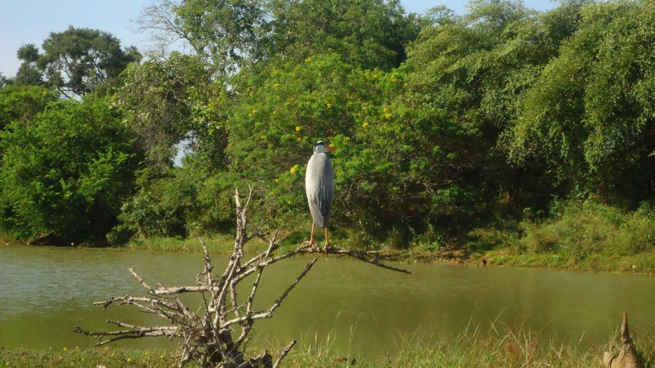 Heina Nature Resort - Eco Home And Yala Safari Kataragama Exterior photo
